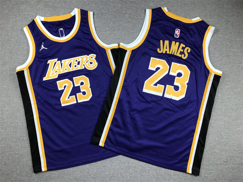 Youth LeBron James Los Angeles Lakers #23  Embroidered  Jersey