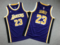 Youth LeBron James Los Angeles Lakers #23  Embroidered  Jersey