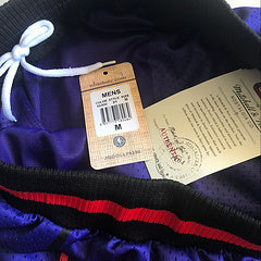 Toronto Raptors Purple MN