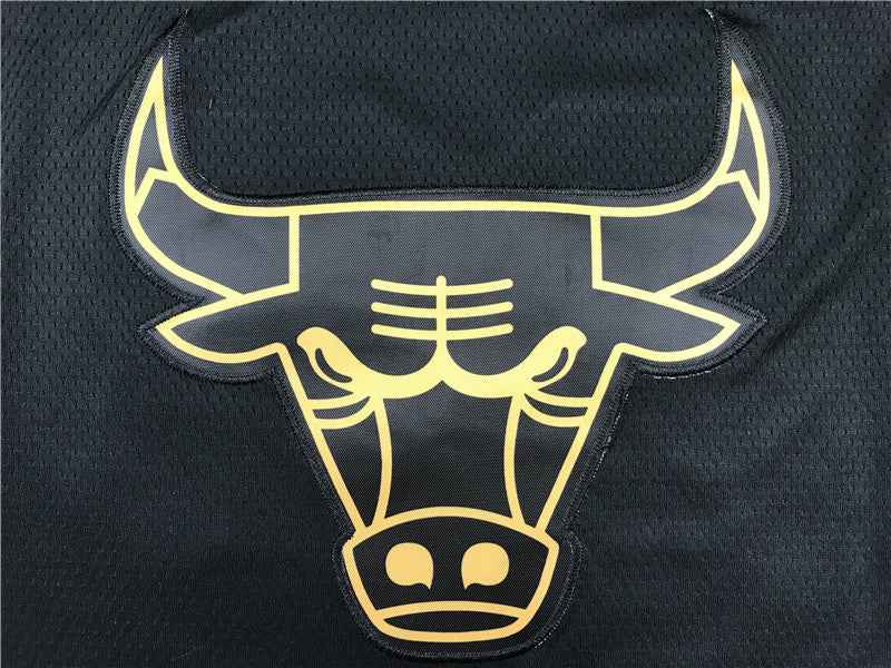 Chicago Bulls Michael Jordan #23 "Black & Gold" City Edition Swingman Jersey – Embroidered