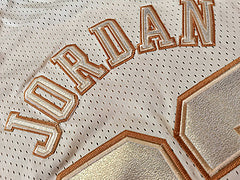 Michael Jordan Chicago Bulls 23 White MN