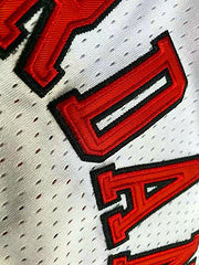 Michael Jordan Chicago Bulls 23 White MN