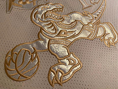 Vince Carter Toronto Raptors White 15 MN