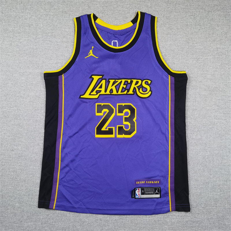 Youth LeBron James Los Angeles Lakers #23  Embroidered  Jersey