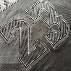 LeBron James Los Angeles Lakers  Black 23 MN