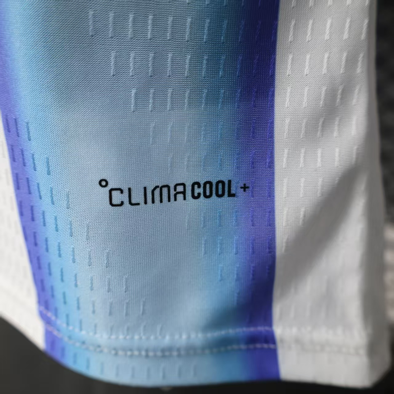 2026 World Cup Argentina Home Player Version Jersey