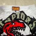 Toronto Raptors white mitchell&ness pocket pants