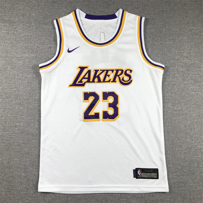 Youth LeBron James Los Angeles Lakers #23  Embroidered  Jersey