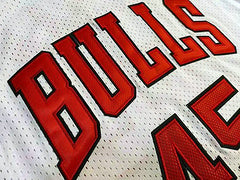 Michael Jordan Chicago Bulls 23 White MN