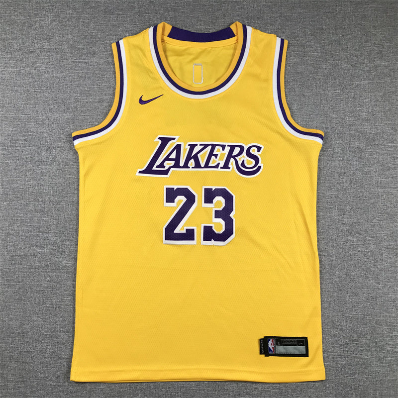 Youth LeBron James Los Angeles Lakers #23  Embroidered  Jersey