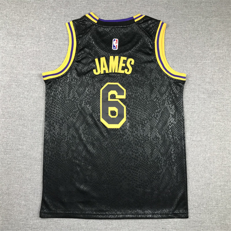 Youth LeBron James Los Angeles Lakers #6 City Edition Black Mamba Embroidered  Jersey
