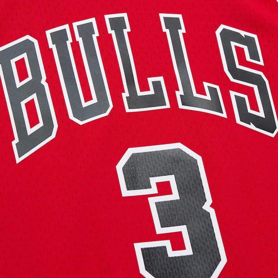 Dwyane Wade Chicago Bulls Mitchell & Ness 2016/17 Hardwood Classics Swingman Jersey - Red