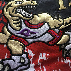 Vince Carter Toronto Raptors White 15 MN