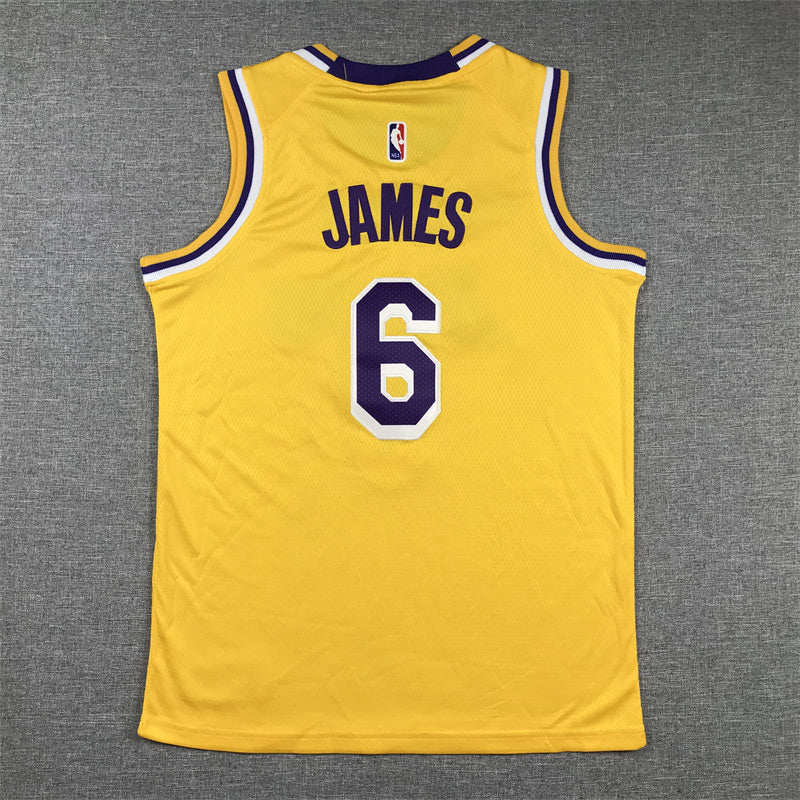 Youth LeBron James Los Angeles Lakers #6   Embroidered  Jersey