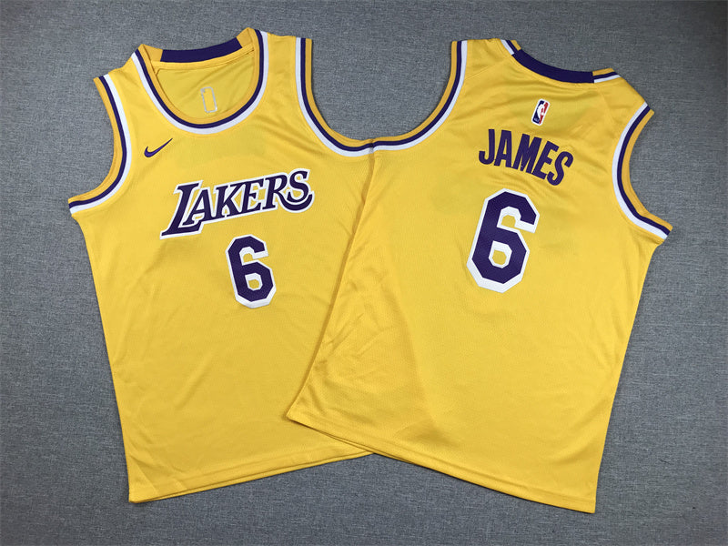 Youth LeBron James Los Angeles Lakers #6   Embroidered  Jersey