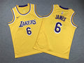 Youth LeBron James Los Angeles Lakers #6   Embroidered  Jersey