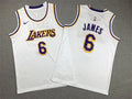 Youth LeBron James Los Angeles Lakers #6  Embroidered  Jersey