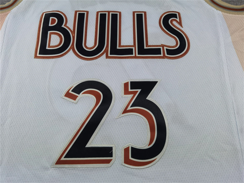 Chicago Bulls Michael Jordan #23 2025 City Edition Swingman Jersey - Embroidered